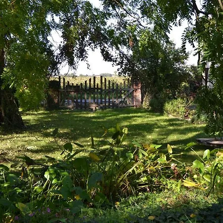 Regina Sconta Panzió 3*