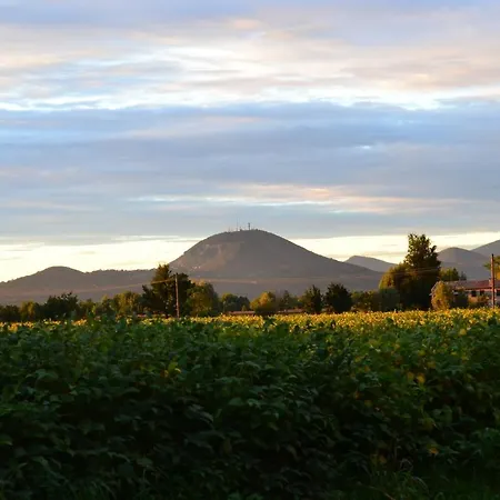 Regina Sconta Villa Estense