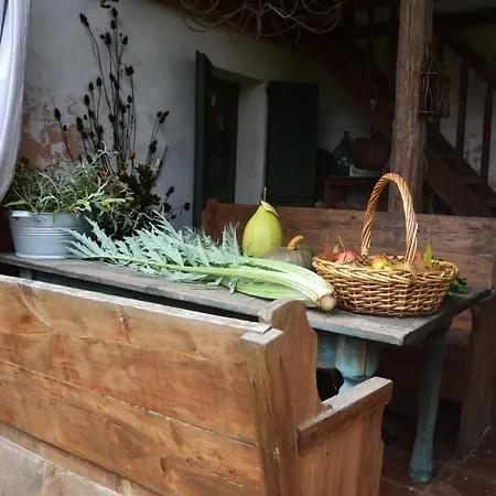 Regina Sconta Villa Estense